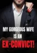 my-gorgeous-wife-is-an-ex-convict