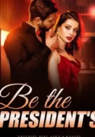 Be-The-Presidents-Wife-by-Chance-Novel
