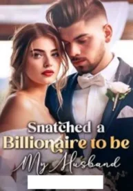 Snatched-a-Billionaire-to-be-My-Husband-Cora-Lane-Novel