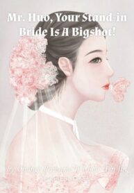 mr-gu-your-replacement-bride-is-a-big-shot