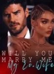 Will-You-Marry-Me-My-Ex-Wife-Novel