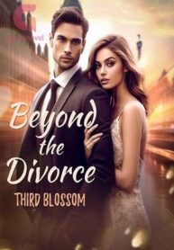 BeyondtheDivorcebyThirdBlossom