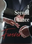 A-Second-Chance-at-Forever-Eleanor-Shultz-